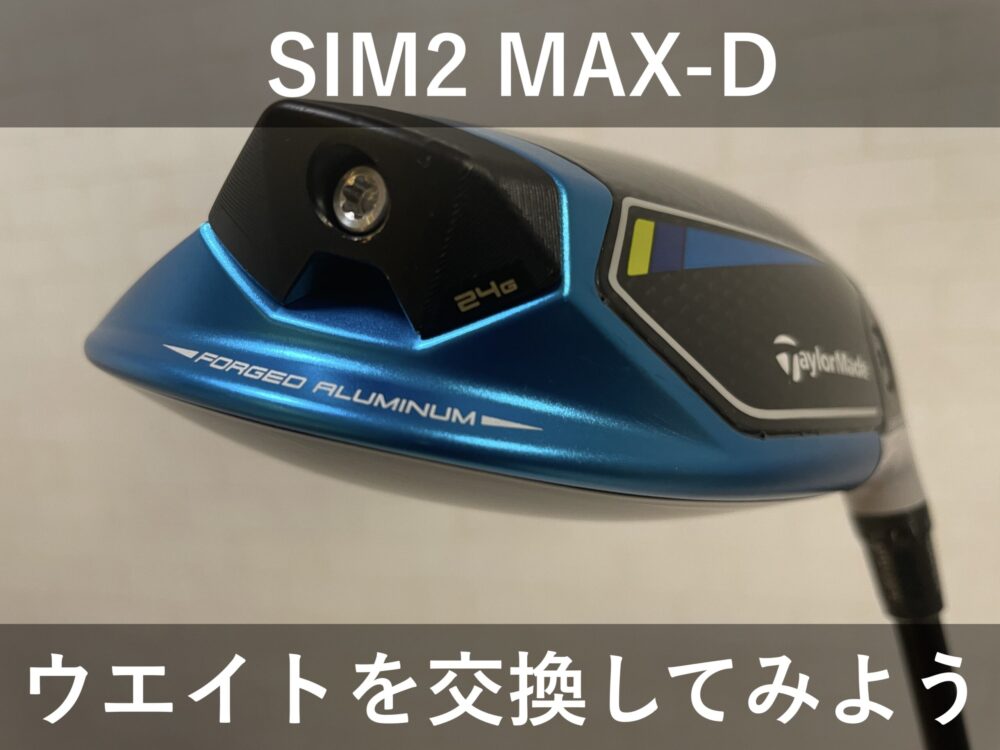 テーラーメイド SIM2 SIM2 MAX MAX-Dドライバー用ウェイト 7g - クラブ